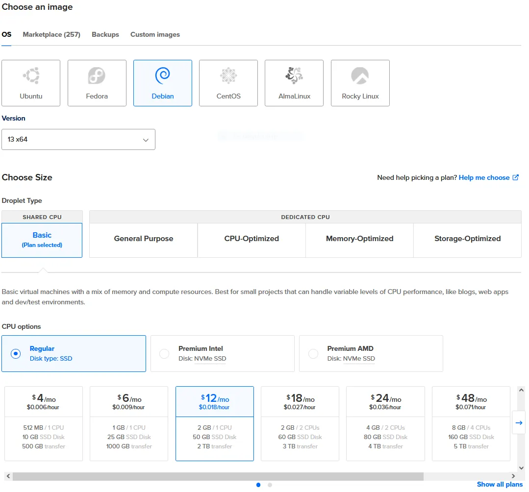 Setting up the VPS